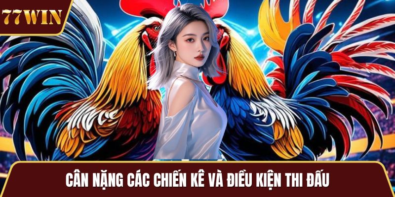 Cân nặng các chiến kê và điều kiện thi đấu
