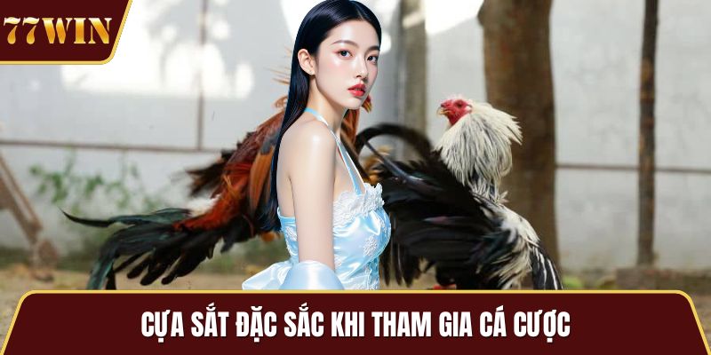 Cựa sắt đặc sắc khi tham gia cá cược