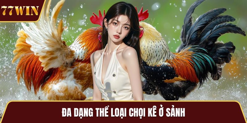 Đa dạng thể loại chọi kê ở sảnh