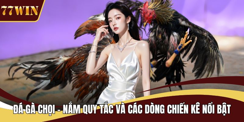 đá gà chọi