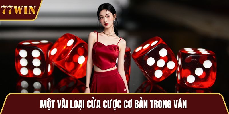 Một vài loại cửa cược cơ bản trong ván