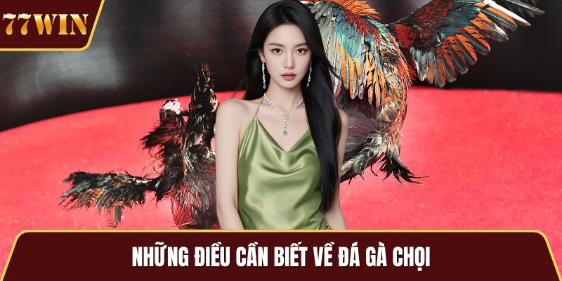 Những điều cần biết về đá gà chọi
