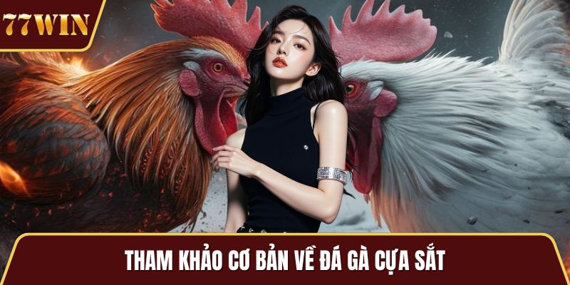 Tham khảo cơ bản về đá gà cựa sắt