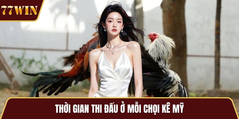 Thời gian thi đấu ở mỗi chọi kê mỹ